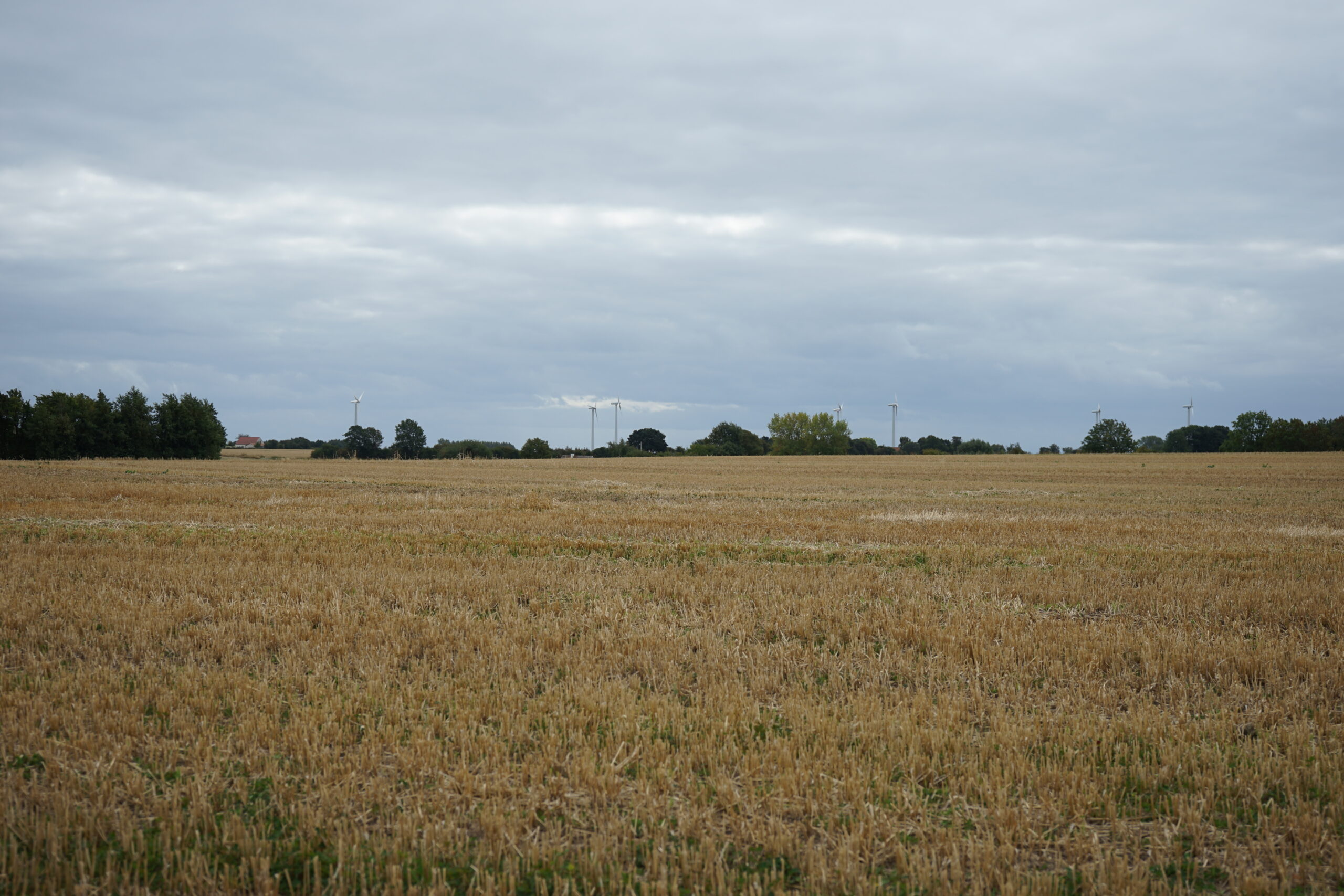 Fotopunkt 6 Skovforten B54,892424 L10,047253 (1)