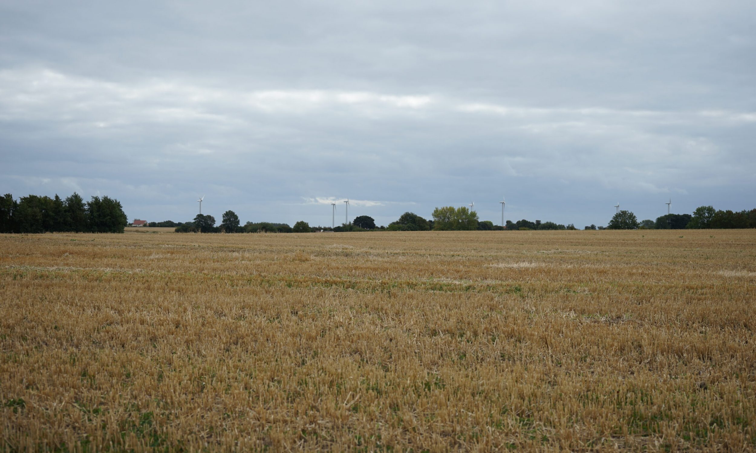 Fotopunkt 6 Skovforten B54,892424 L10,047253