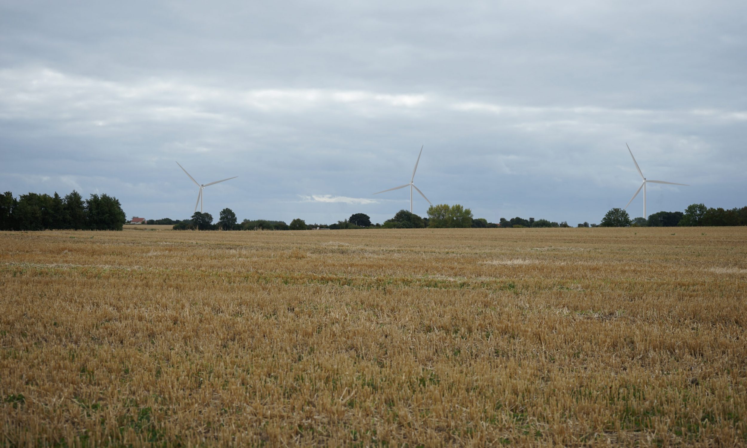 Fotopunkt 6 Skovforten B54892424 L10047253 3x V136