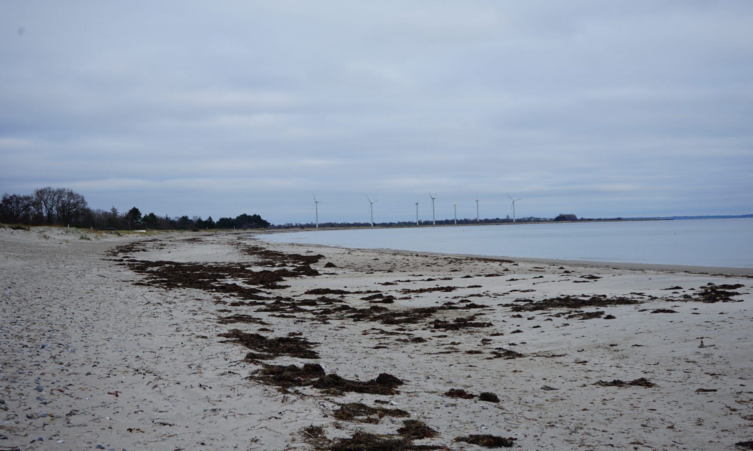Fotopunkt 8 Pøl v. Camping eksisterende